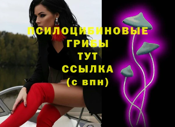 гашиш Белокуриха